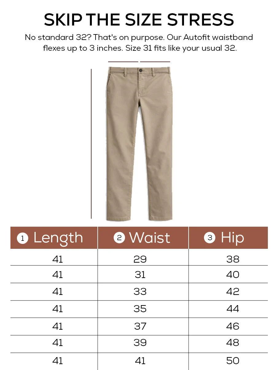 The Regular Fit Daylong Chino - Square Potato - Image 9
